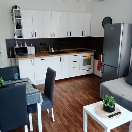 Apartman U Fontany 波杰布拉迪 外观 照片